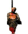 26699 013 Hang2.gif